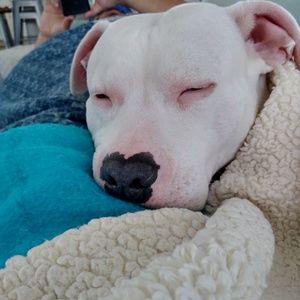 Meet your Posher, Catherine